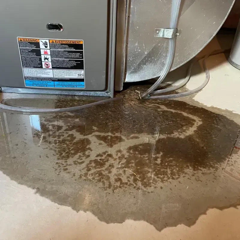 Appliance Leak Cleanup in Las Animas, CO